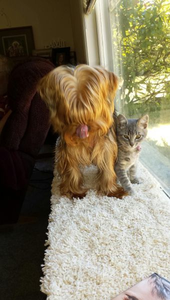 Morning Picdump