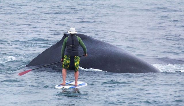 morning picdump 56 pics 19.html - 56 HD Photos | Premium Gallery 2014