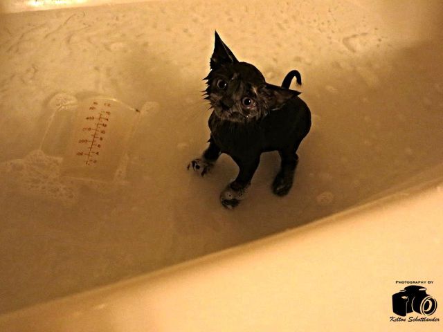 morning picdump 56 pics 19.html - 56 HD Photos | Premium Gallery 2014