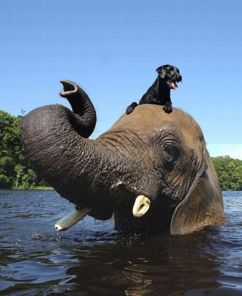 morning picdump 56 pics 19.html - 56 HD Photos | Premium Gallery 2014
