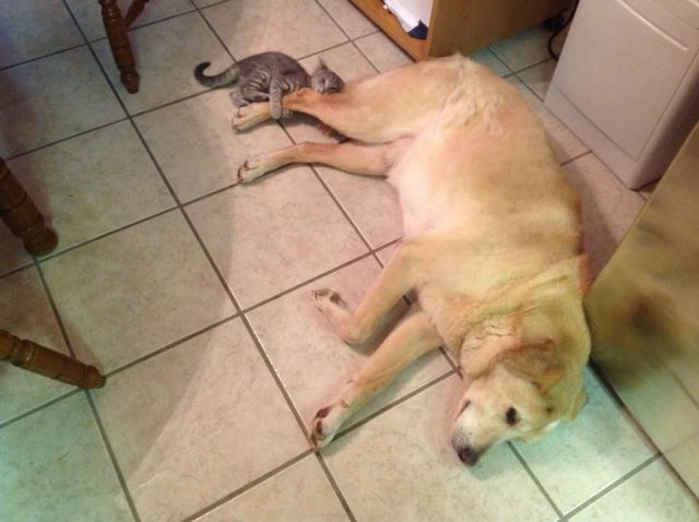 morning picdump 56 pics 19.html - 56 HD Photos | Premium Gallery 2014