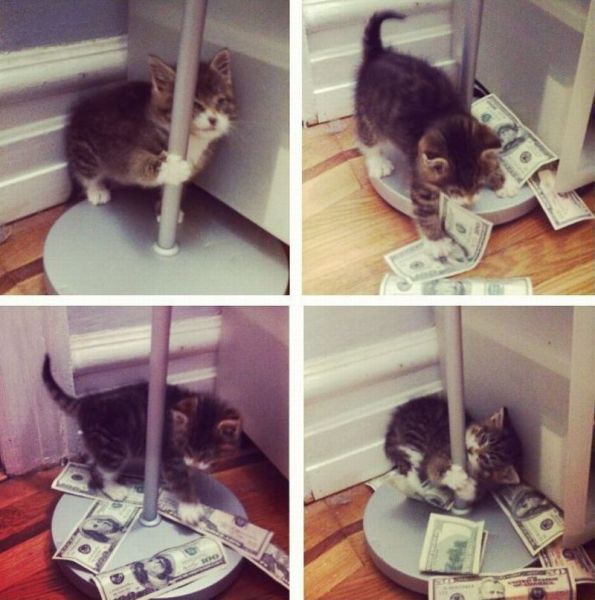 morning picdump 57 pics 7.html - 57 HD Photos | Premium Gallery 2014