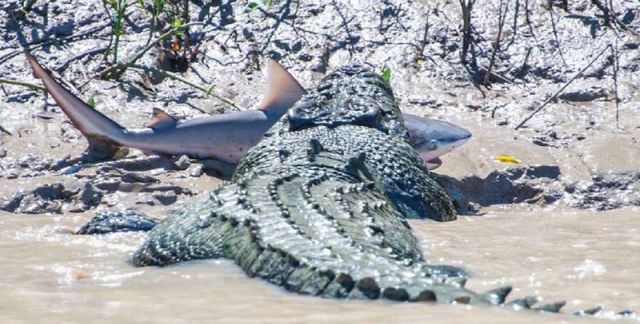 morning picdump 57 pics 7.html - 57 HD Photos | Premium Gallery 2014