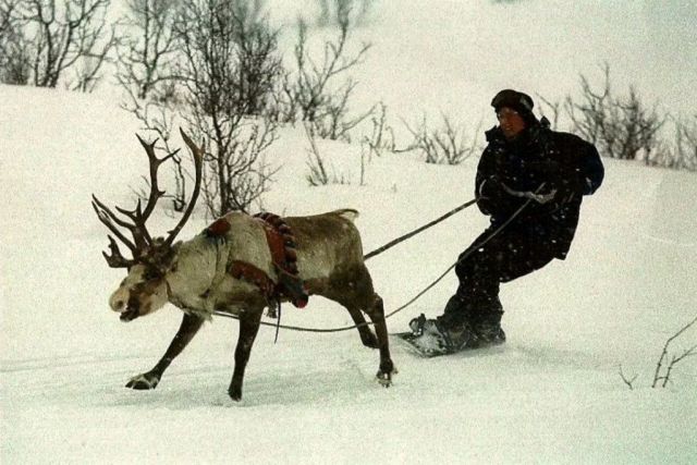 morning picdump 54 pics 34.html - 54 HD Photos | Premium Gallery 2014