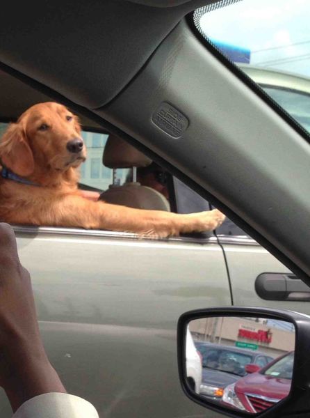 morning picdump 54 pics 34.html - 54 HD Photos | Premium Gallery 2014