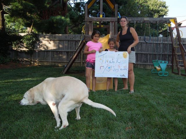 morning picdump 54 pics 34.html - 54 HD Photos | Premium Gallery 2014