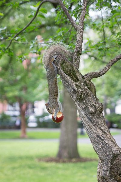 morning picdump 54 pics 34.html - 54 HD Photos | Premium Gallery 2014