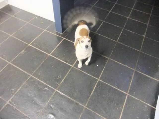 daily picdump 97 pics 8.html - 97 HD Photos | Premium Gallery 2014