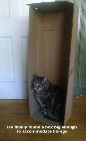 daily picdump 97 pics 8.html - 97 HD Photos | Premium Gallery 2014