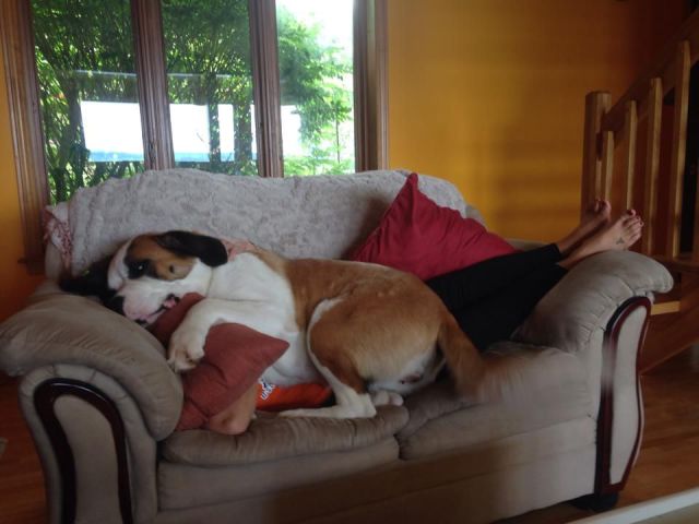 daily picdump 97 pics 8.html - 97 HD Photos | Premium Gallery 2014