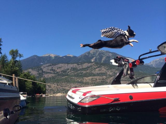 daily picdump 97 pics 8.html - 97 HD Photos | Premium Gallery 2014