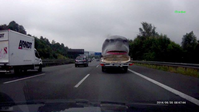 daily picdump 97 pics 8.html - 97 HD Photos | Premium Gallery 2014