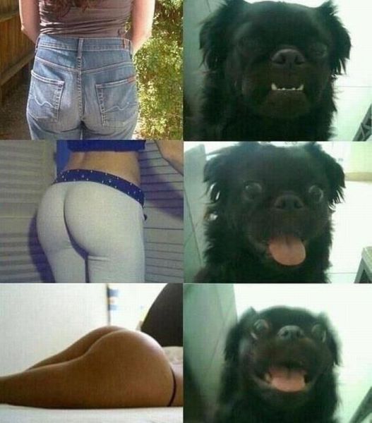 daily picdump 97 pics 8.html - 97 HD Photos | Premium Gallery 2014