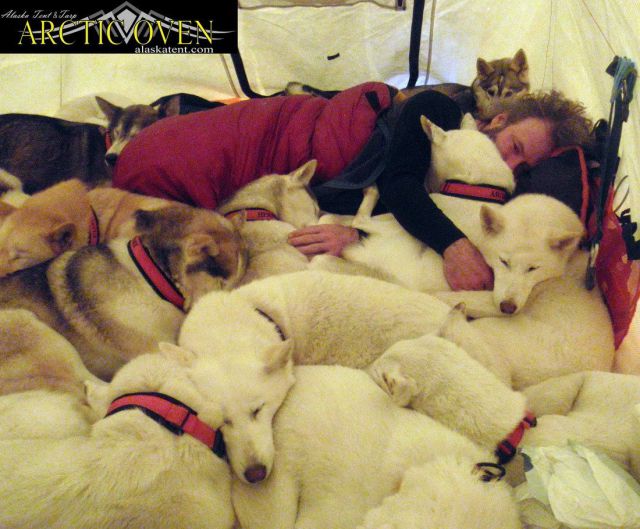 daily picdump 97 pics 8.html - 97 HD Photos | Premium Gallery 2014