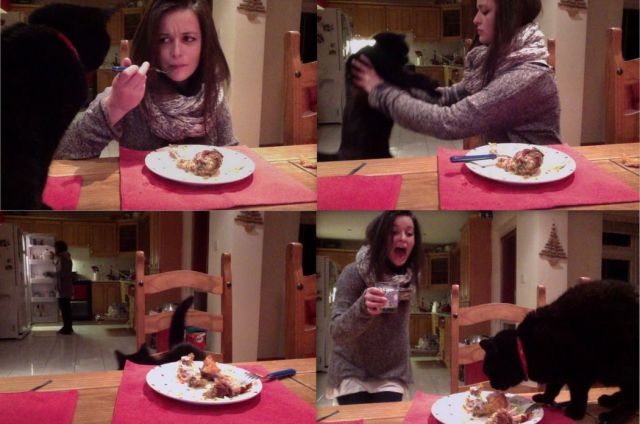 daily picdump 97 pics 8.html - 97 HD Photos | Premium Gallery 2014