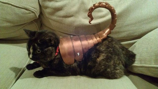 daily picdump 97 pics 8.html - 97 HD Photos | Premium Gallery 2014