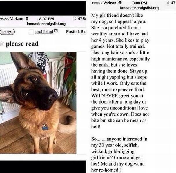 Morning Picdump