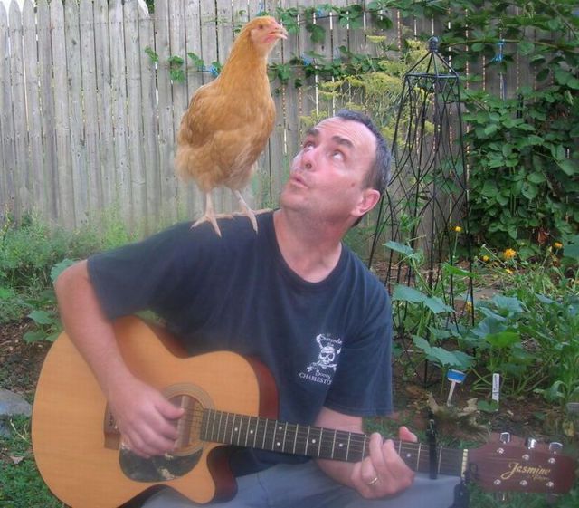 Morning Picdump