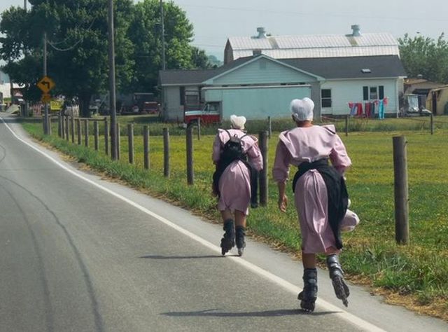 Morning Picdump