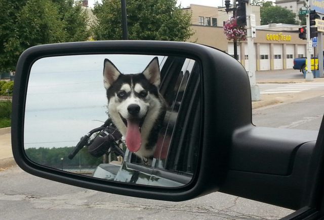 Morning Picdump