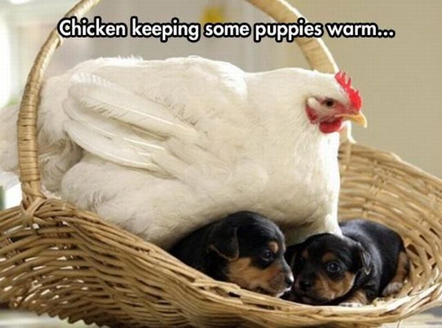Morning Picdump