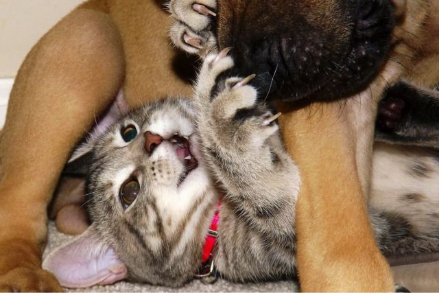 Morning Picdump