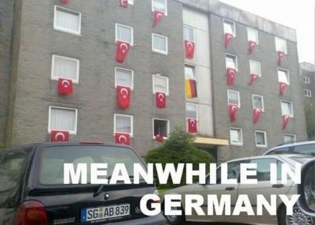 Morning Picdump