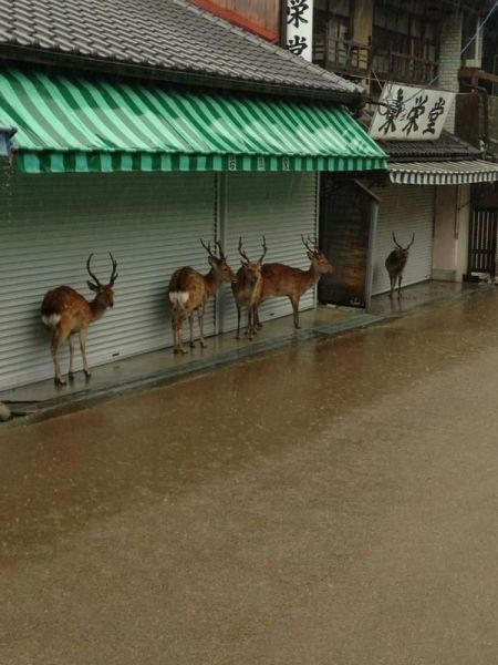 Morning Picdump