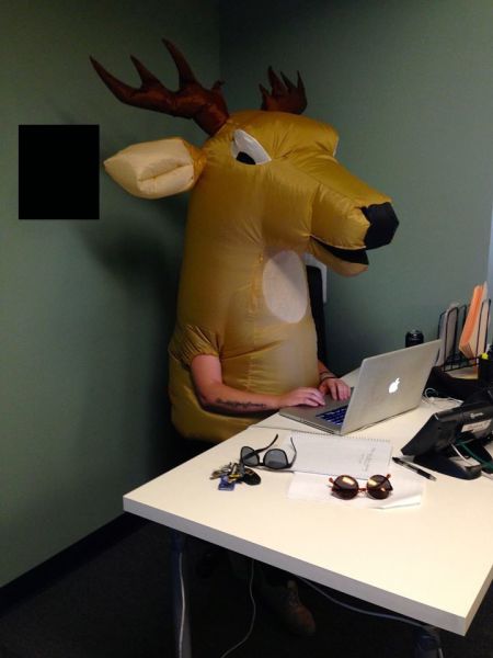 Morning Picdump