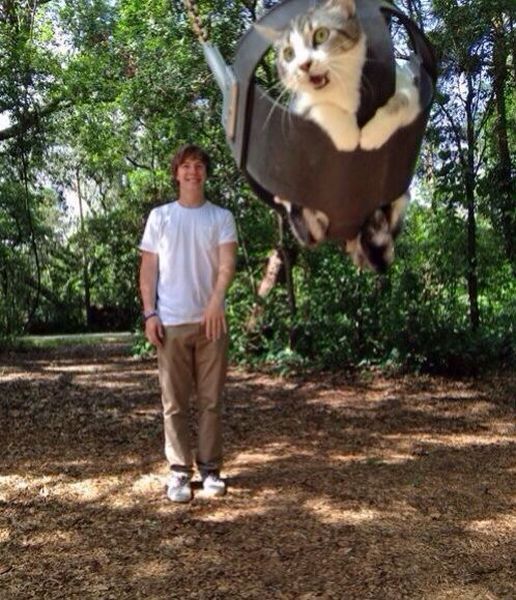 Morning Picdump