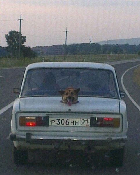 Morning Picdump
