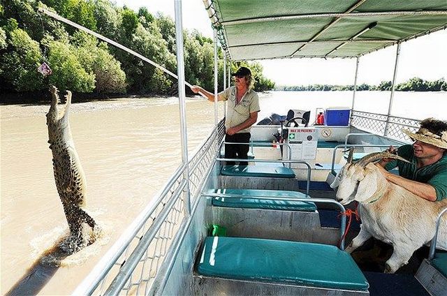 daily picdump 95 pics 38.html - 95 HD Photos | Premium Gallery 2014