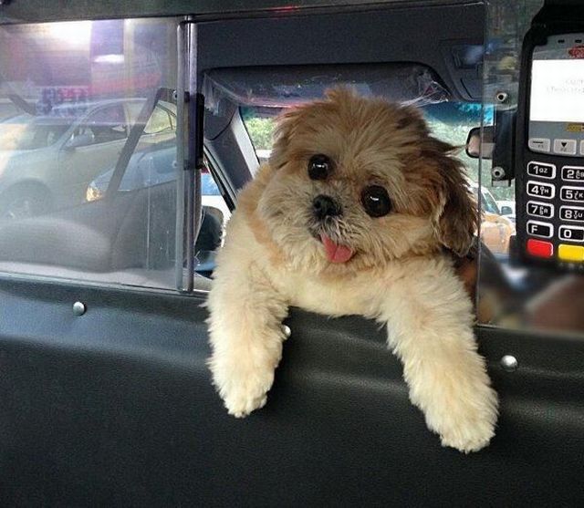 daily picdump 95 pics 38.html - 95 HD Photos | Premium Gallery 2014