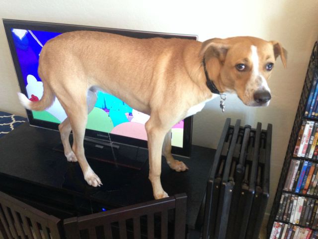 daily picdump 95 pics 38.html - 95 HD Photos | Premium Gallery 2014