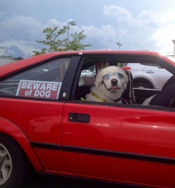 daily picdump 95 pics 38.html - 95 HD Photos | Premium Gallery 2014