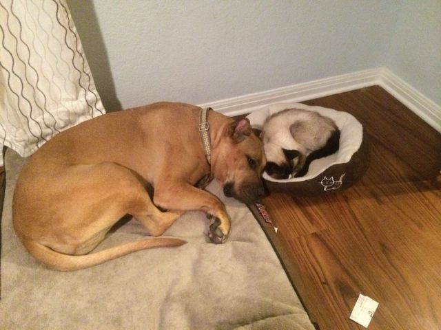 morning picdump 56 pics 51.html - 56 HD Photos | Premium Gallery 2014