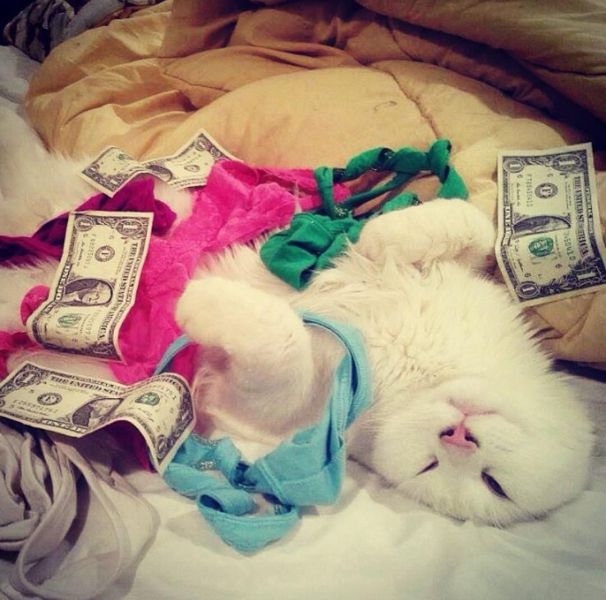 morning picdump 56 pics 51.html - 56 HD Photos | Premium Gallery 2014