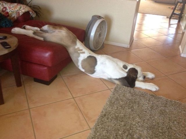 morning picdump 56 pics 51.html - 56 HD Photos | Premium Gallery 2014