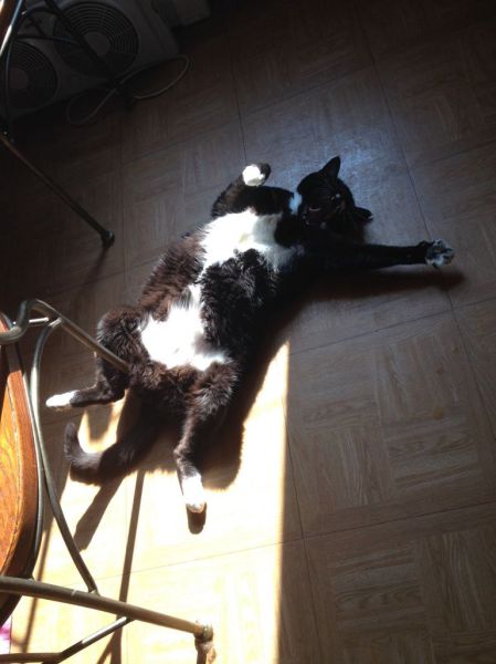 morning picdump 56 pics 51.html - 56 HD Photos | Premium Gallery 2014