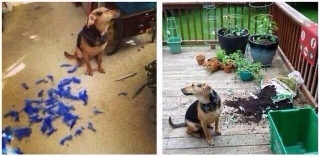 morning picdump 56 pics 51.html - 56 HD Photos | Premium Gallery 2014