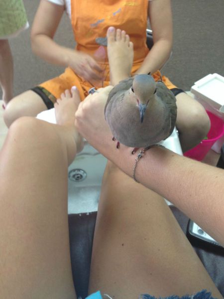 morning picdump 56 pics 51.html - 56 HD Photos | Premium Gallery 2014