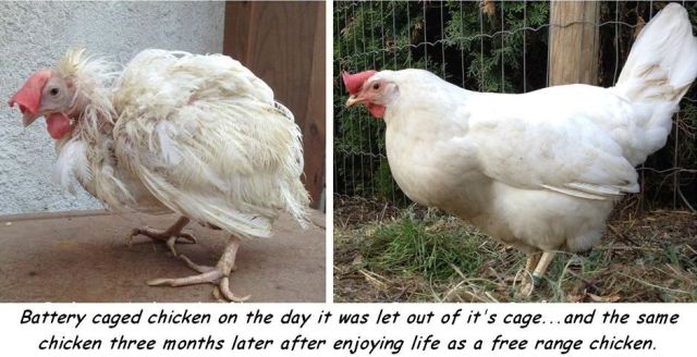 Morning Picdump