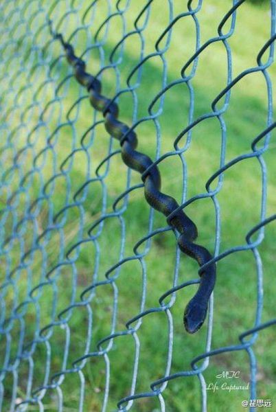 morning picdump 55 pics 22.html - 55 HD Photos | Premium Gallery 2014