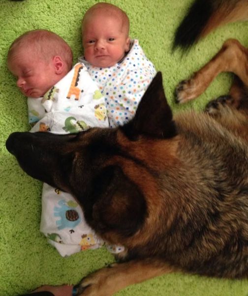 morning picdump 55 pics 22.html - 55 HD Photos | Premium Gallery 2014