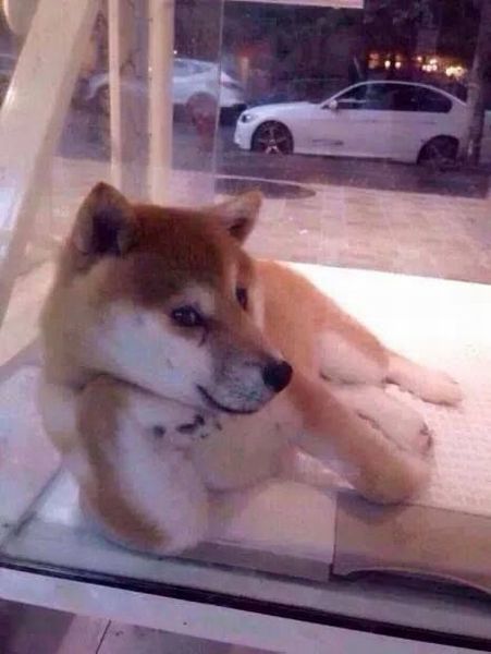 morning picdump 55 pics 22.html - 55 HD Photos | Premium Gallery 2014