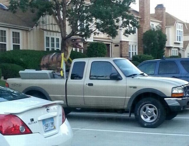 morning picdump 55 pics 22.html - 55 HD Photos | Premium Gallery 2014