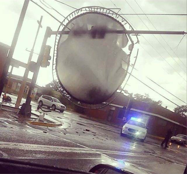 Daily Picdump [WEEKEND EDITION]