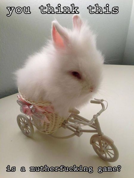 Daily Picdump [WEEKEND EDITION]