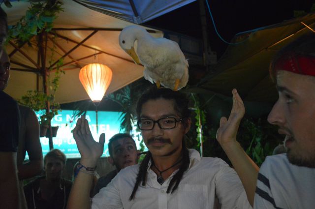 daily picdump weekend edition 93 pics 40.html - 93 HD Photos | Premium Gallery 2014