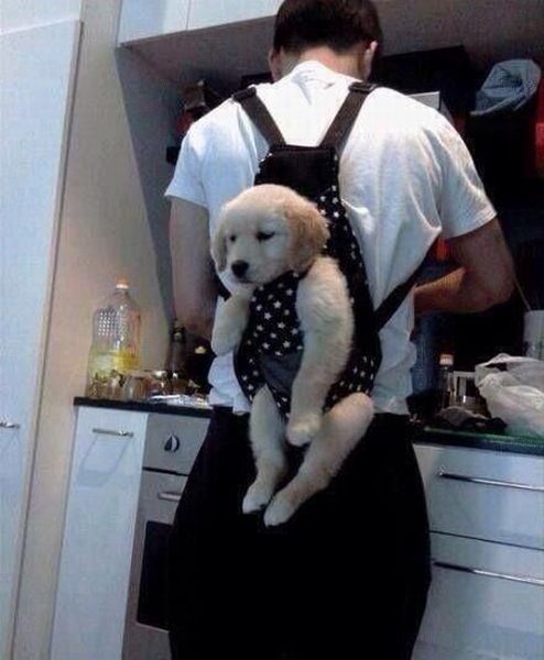 morning picdump 58 pics 17.html - 58 HD Photos | Premium Gallery 2014